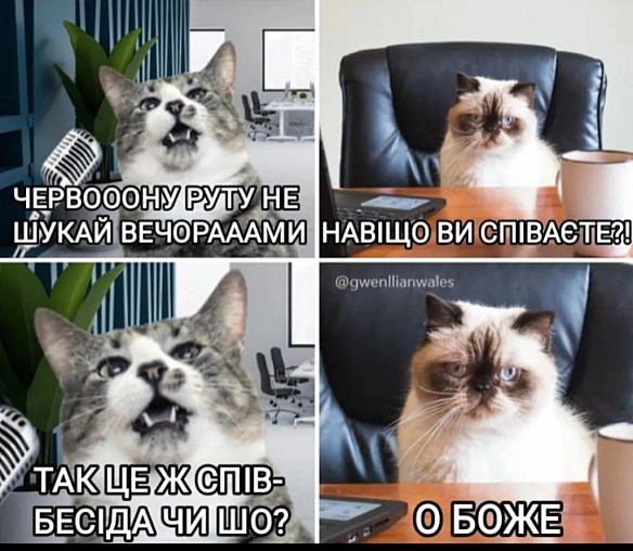 так і працевлаштувався - Vitalii на we.ua