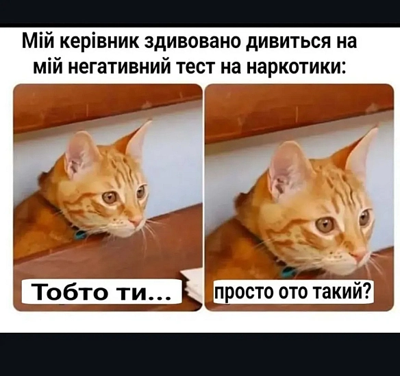 та воно якось само так - Vitalii на we.ua