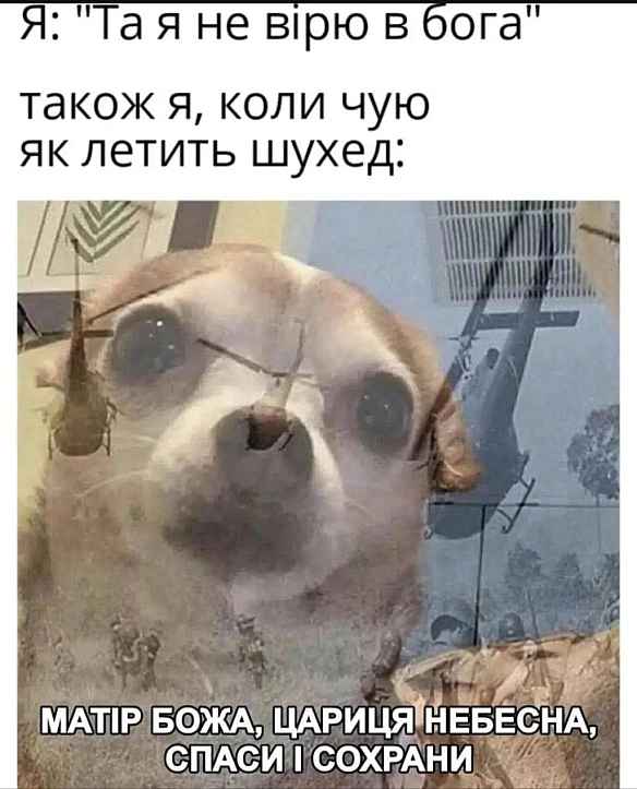 так і є - Vitalii на we.ua