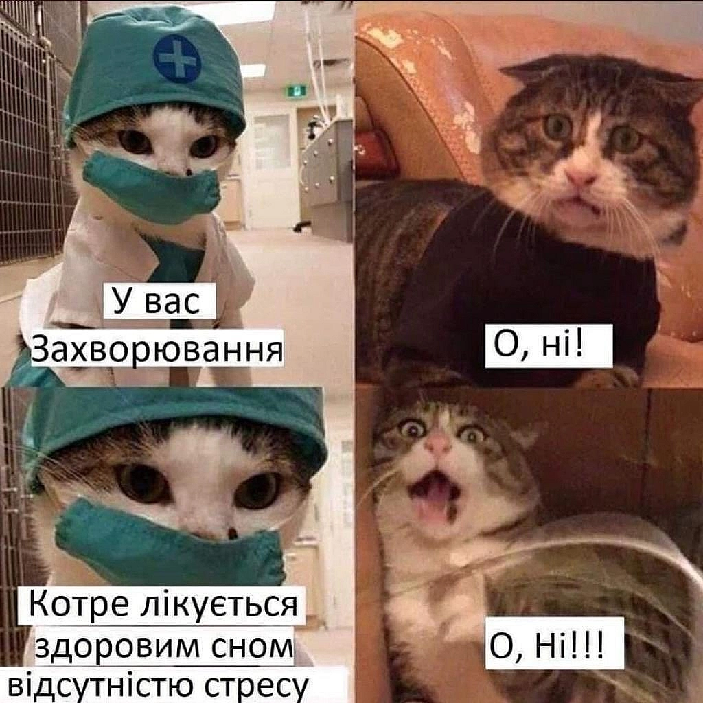 о нііі! - Vitalii на we.ua