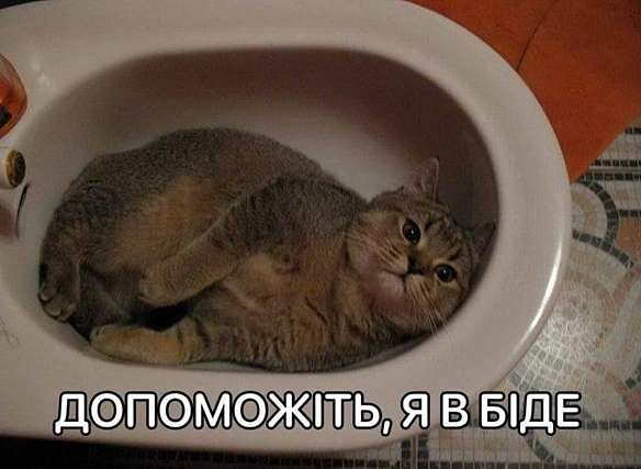 я - кожного ранку - Vitalii на we.ua