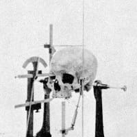 Расиалізм на we.ua